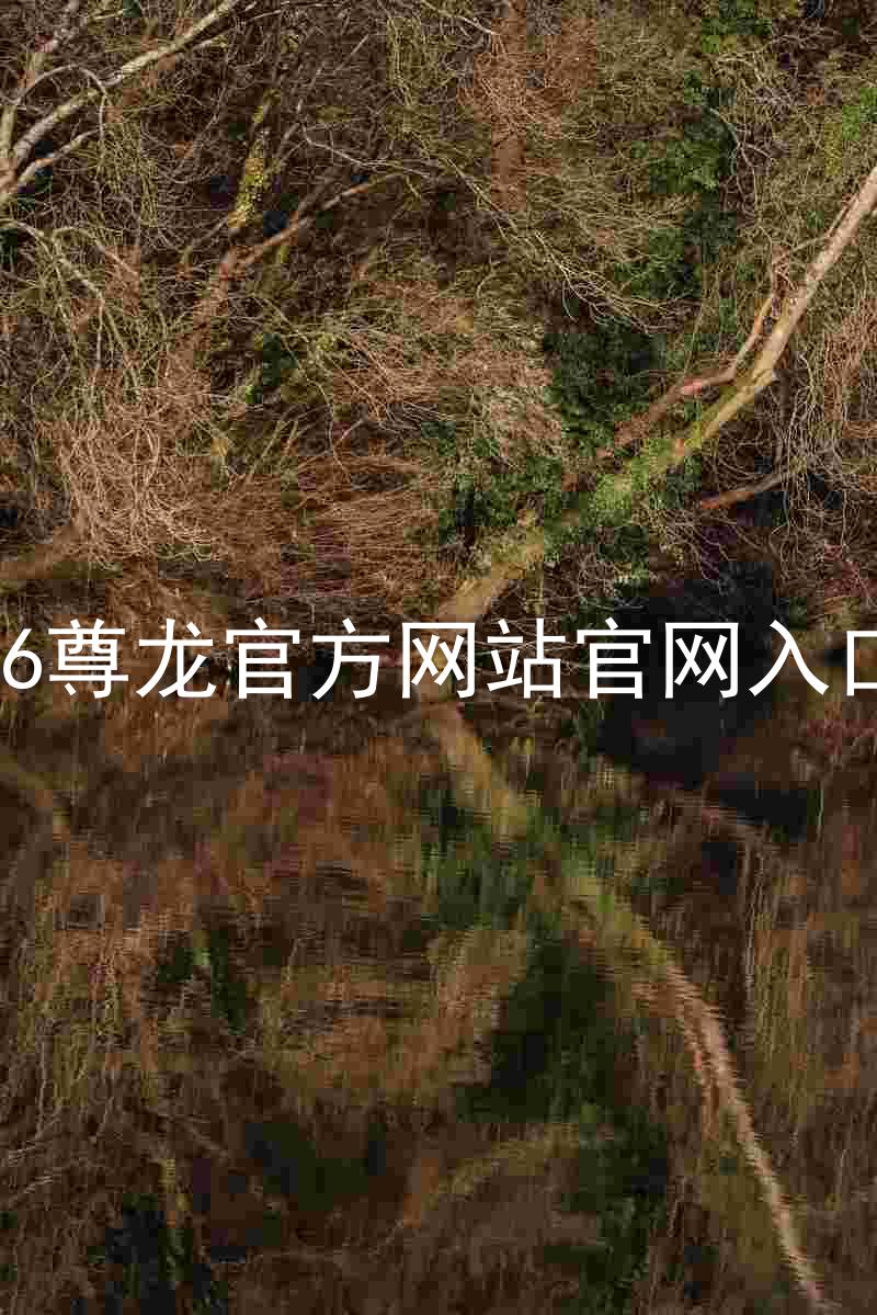 Z6尊龙官方网站官网入口
